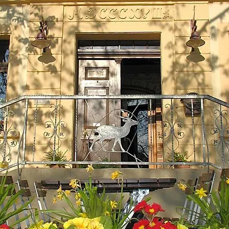 Zum Goldenen Hirschen Otel