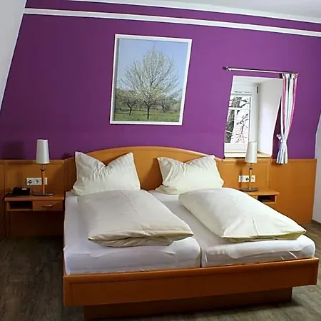 Hotell Zum Goldenen Hirschen